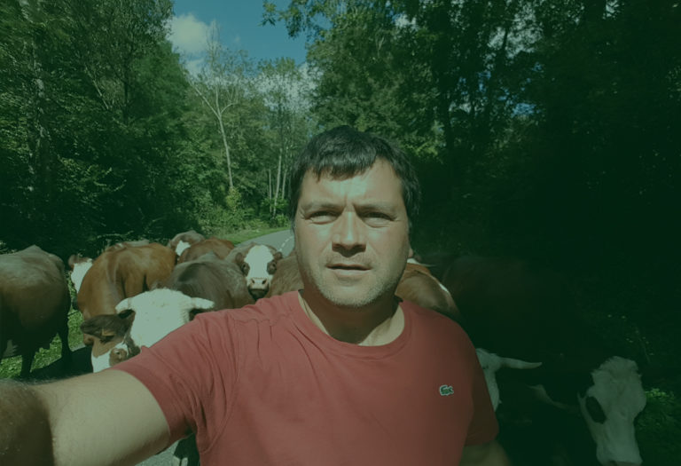 Visite chez Cédric DAURE : au cœur d’une exploitation tournée vers l’agroécologie